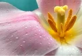 b63607c44df4b12357110bbc8d44