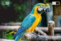 f1a2fd0b468091dff56b00a072d1